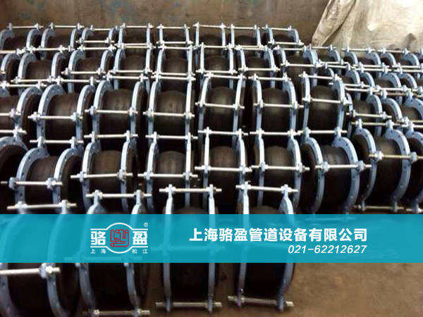 上海駱盈與山東壽光的合作項(xiàng)目