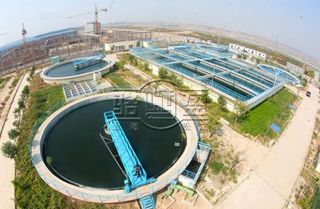 上海駱盈與山東壽光的合作項(xiàng)目