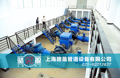 上海駱盈與恒隆廣場（二期）的合作項目